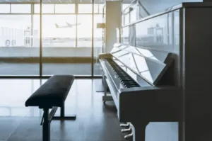 trasporto strumenti musicali di grandi dimensioni